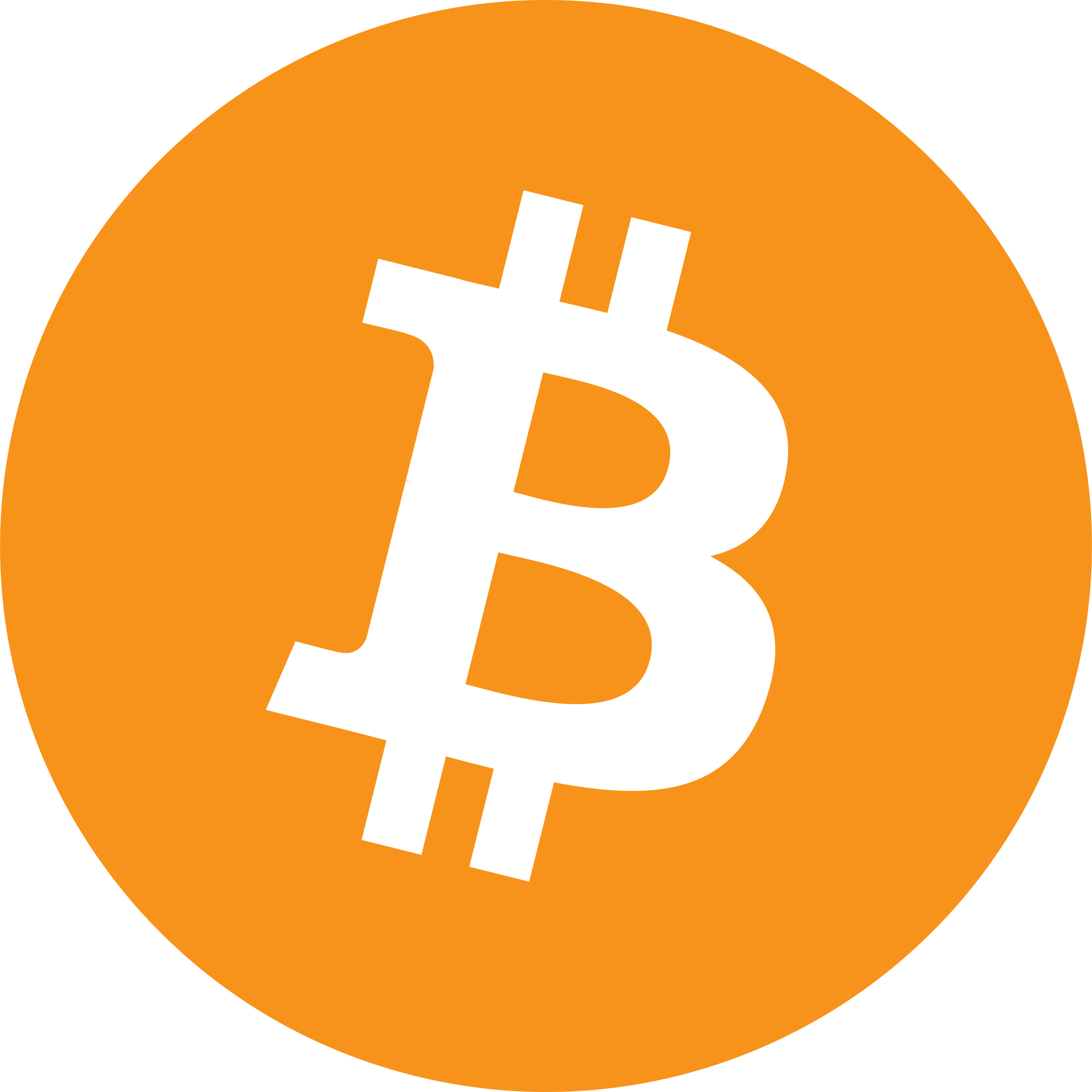 Bitcoin Only